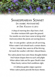 Shakespearean Sonnet